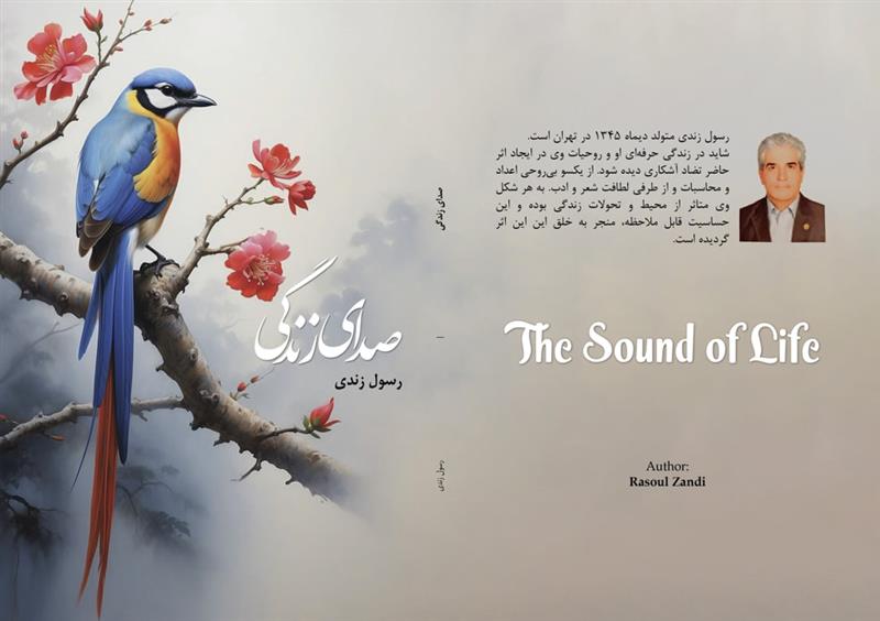 رسول زندی