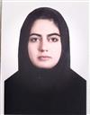 فنی و مهندسی مجموعه مهندسی کامپیوتر مهندسی کامپیوتر - نرم افزار