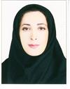 علوم انسانی مجموعه حقوق حقوق عمومی
