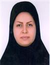 علوم انسانی مجموعه حقوق حقوق جزا و جرم شناسی
