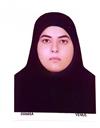 هنر مجموعه برنامه ریزی شهری و منطقه ای برنامه ریزی شهری