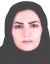 علوم انسانی مجموعه زبان انگلیسی مترجمی زبان انگلیسی