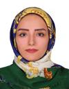 علوم پایه علوم کامپیوتر علوم کامپیوتر