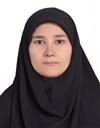 علوم پایه مجموعه فیزیک فیزیک - ذرات بنیادی و نظریه میدانها