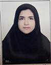 علوم پایه مجموعه ریاضی ریاضی کاربردی