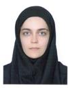 علوم پایه مجموعه فیزیک فیزیک - حالت جامد