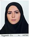 فنی و مهندسی مجموعه مهندسی کامپیوتر مهندسی کامپیوتر - نرم افزار