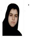 علوم انسانی مجموعه علوم اقتصادی اقتصاد انرژی