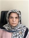 هنر مجموعه معماری مهندسی معماری